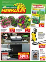 Herkules Baumarkt Prospekt vom 19.05.2025