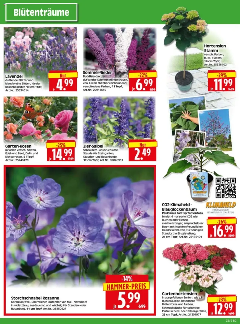Herkules Baumarkt Prospekt vom 02.06.2025, Seite 2
