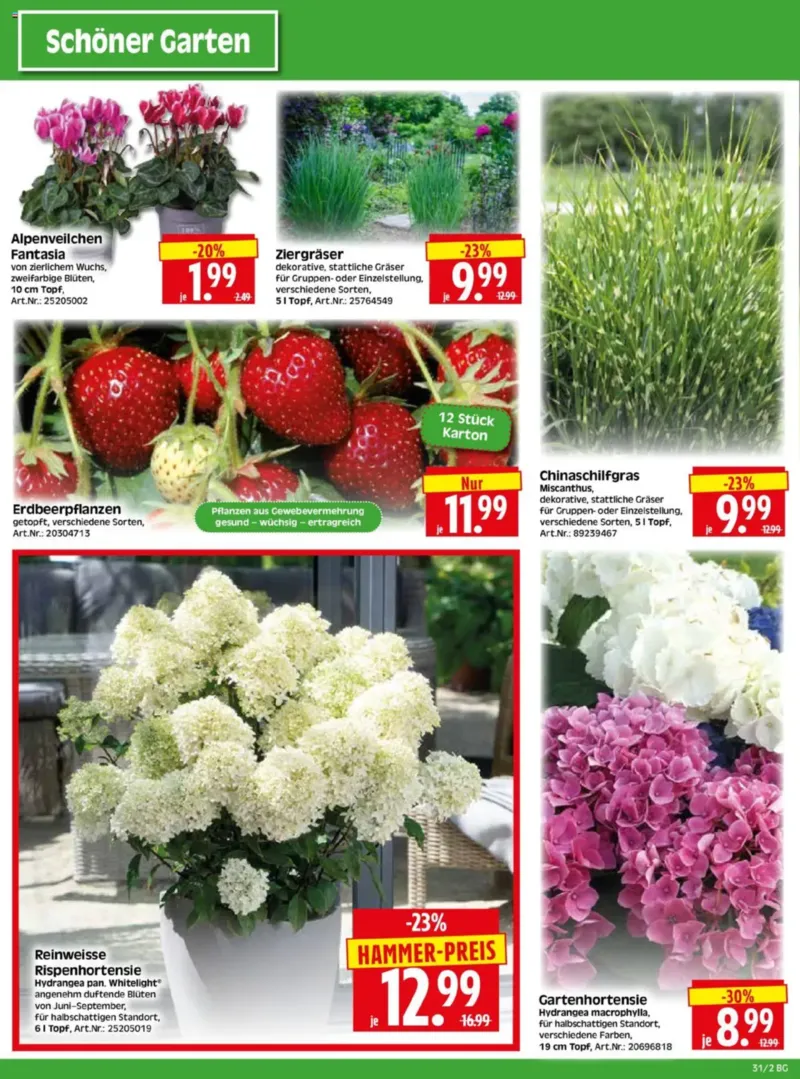 Herkules Baumarkt Prospekt vom 28.07.2025, Seite 2