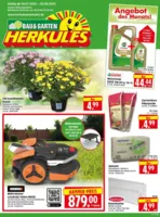 Herkules Baumarkt Prospekt vom 28.07.2025