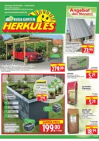 Herkules Baumarkt Prospekt vom 18.08.2025