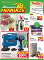 Herkules Baumarkt Prospekt vom 13.10.2025