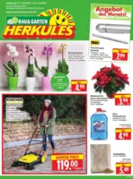 Herkules Baumarkt Prospekt nächster Woche