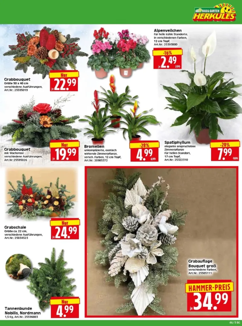 Herkules Baumarkt Prospekt vom 10.11.2025, Seite 3
