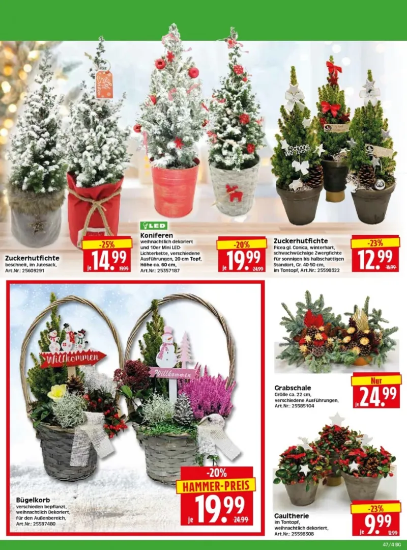 Herkules Baumarkt Prospekt vom 17.11.2025, Seite 4