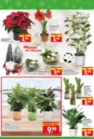 Herkules Baumarkt Prospekt vom 08.12.2025