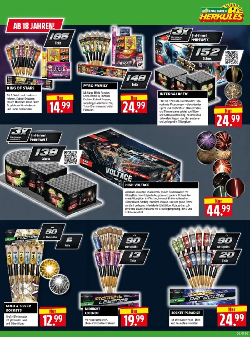 Herkules Baumarkt Prospekt vom 29.12.2025, Seite 3