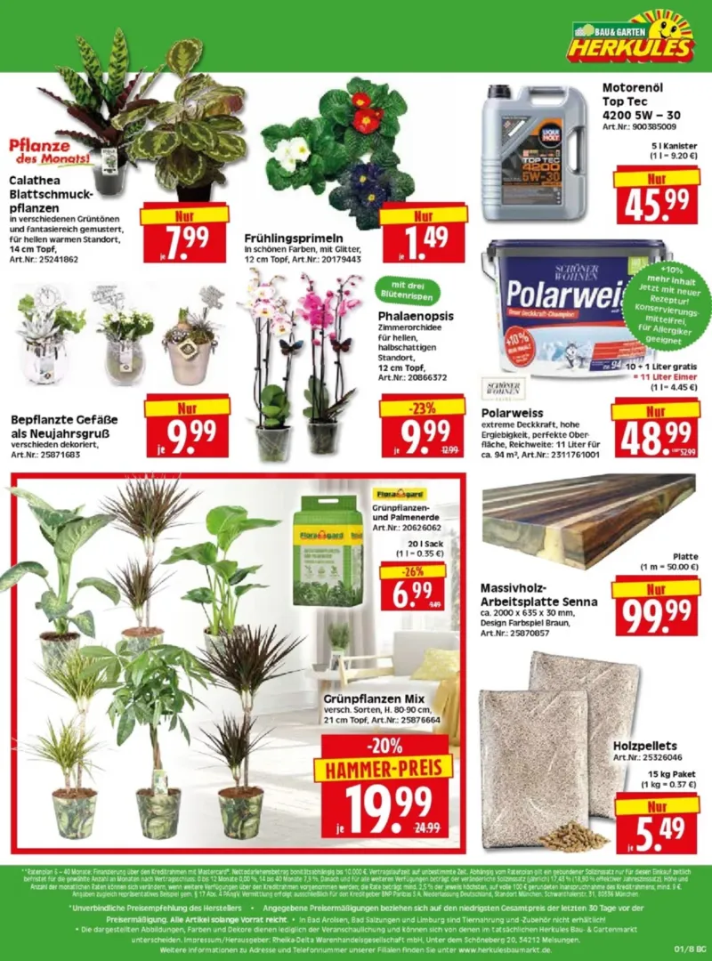 Herkules Baumarkt Prospekt vom 29.12.2025, Seite 8