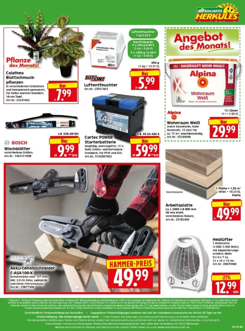 Herkules Baumarkt Prospekt vom 12.01.2026, Seite 8