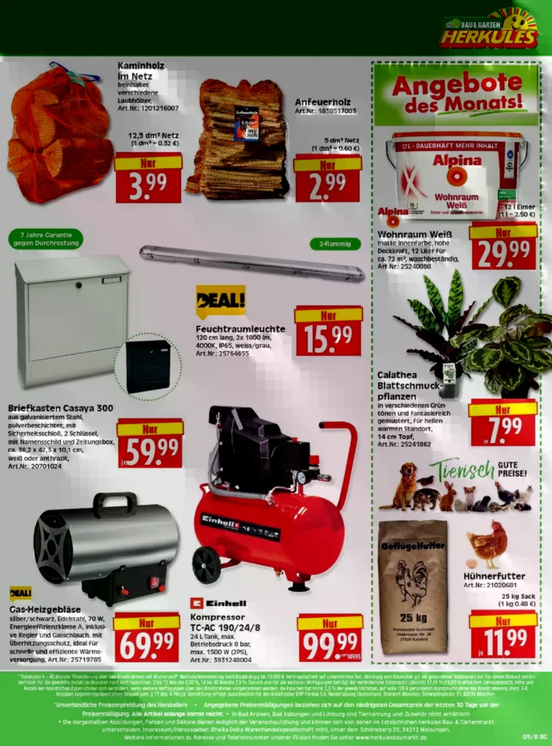 Herkules Baumarkt Prospekt vom 26.01.2026, Seite 8