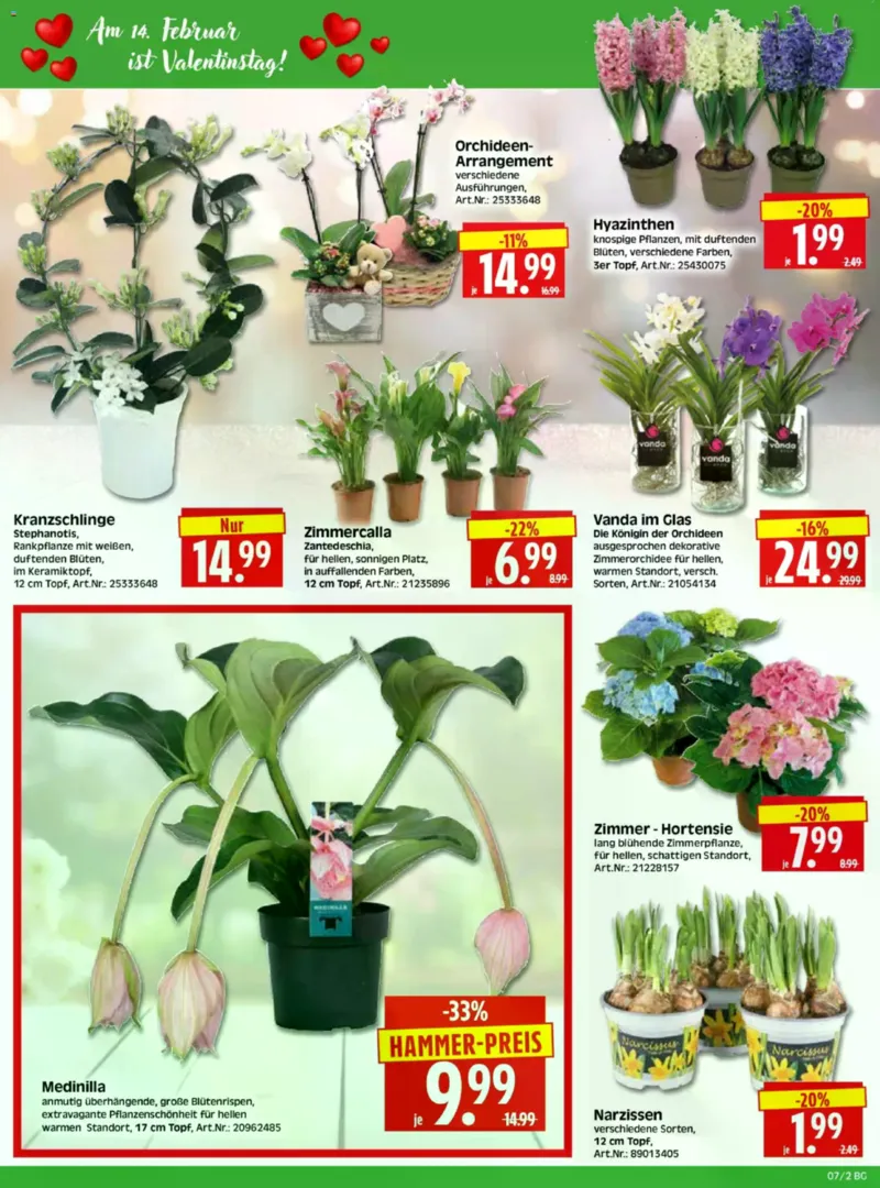Herkules Baumarkt Prospekt vom 09.02.2026, Seite 2