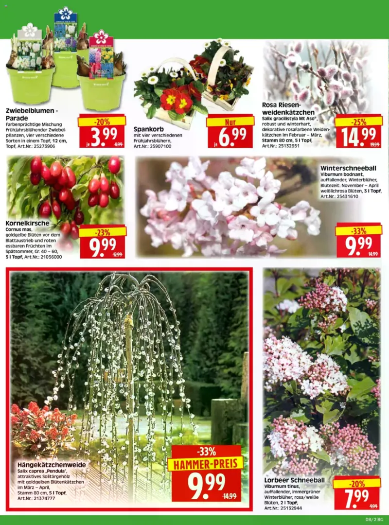Herkules Baumarkt Prospekt vom 16.02.2026, Seite 2