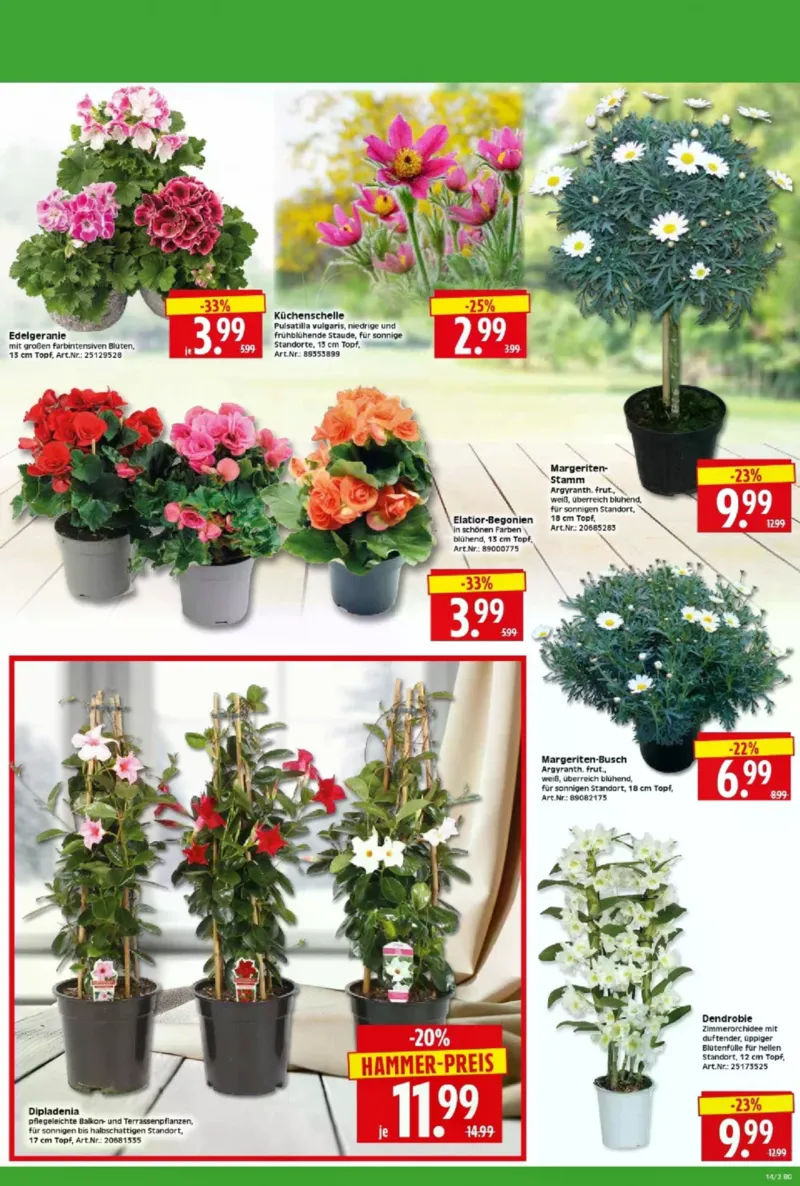 Herkules Baumarkt Prospekt vom 30.03.2026, Seite 2