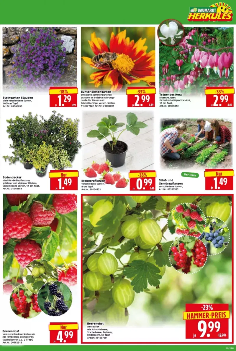 Herkules Baumarkt Prospekt vom 30.03.2026, Seite 3