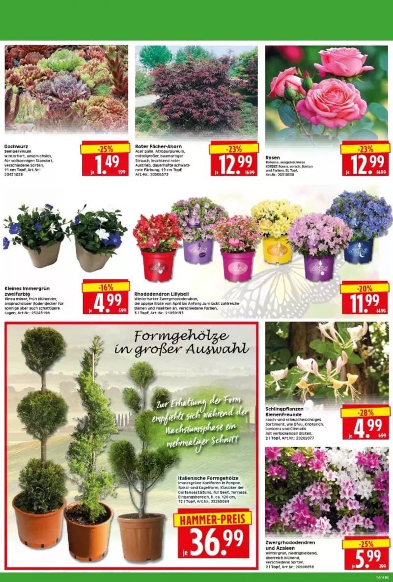 Herkules Baumarkt Prospekt vom 30.03.2026, Seite 4