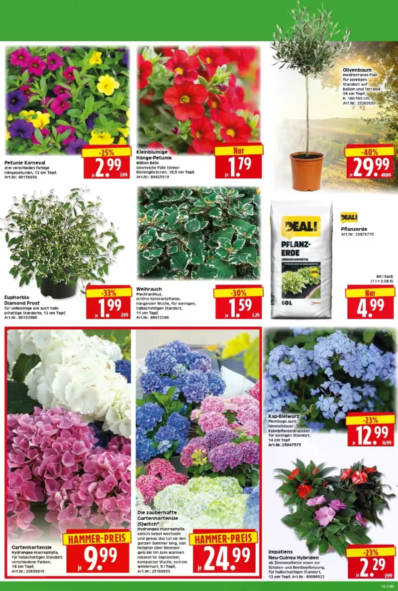 Herkules Baumarkt Prospekt vom 04.05.2026, Seite 2