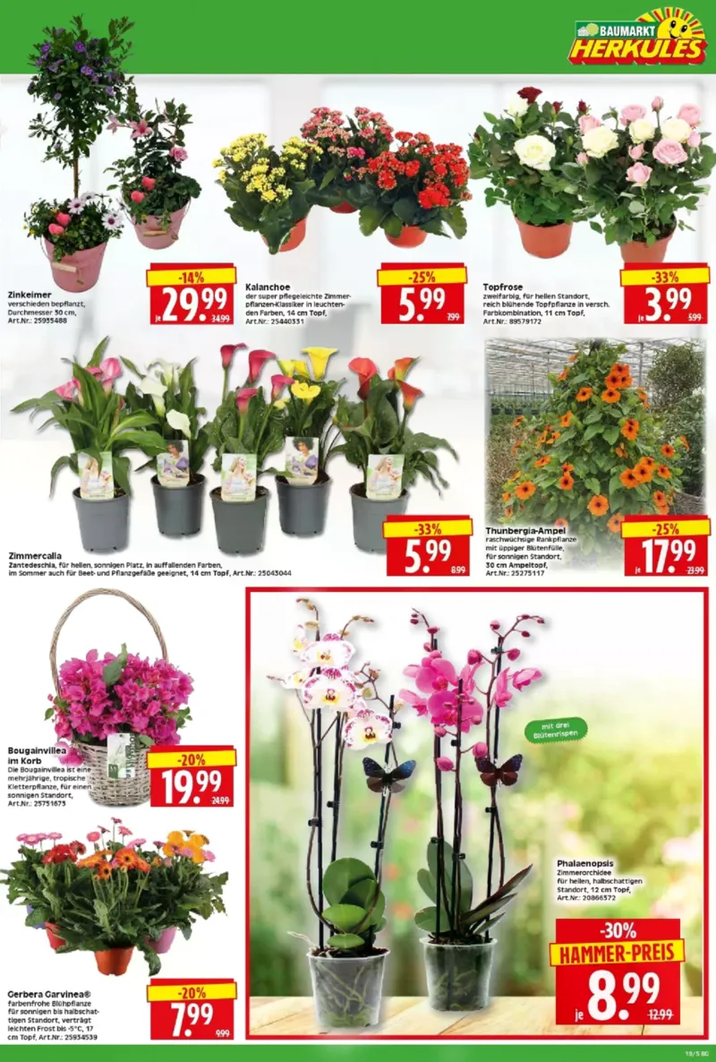 Herkules Baumarkt Prospekt vom 04.05.2026, Seite 5