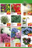 Herkules Baumarkt Prospekt vom 04.05.2026