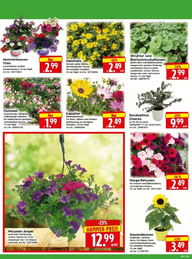 Herkules Baumarkt Prospekt vom 11.05.2026, Seite 2