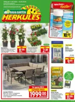 Herkules Baumarkt Prospekt vom 11.05.2026