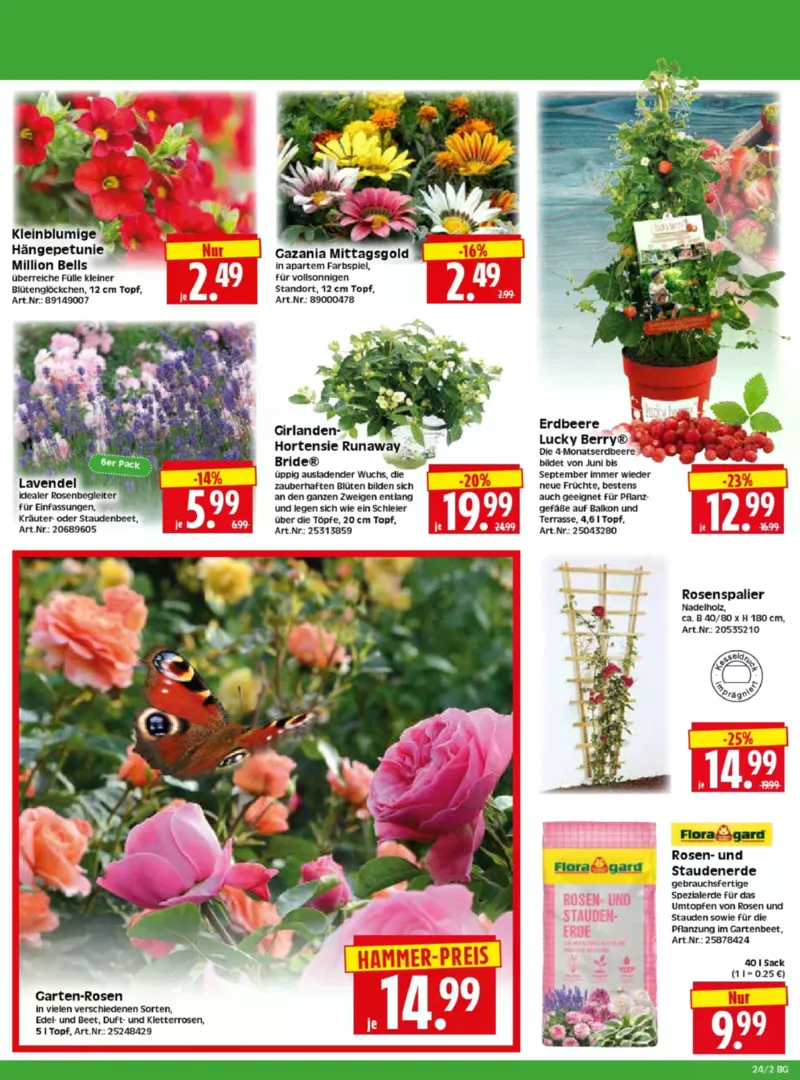 Herkules Baumarkt Prospekt vom 08.06.2026, Seite 2