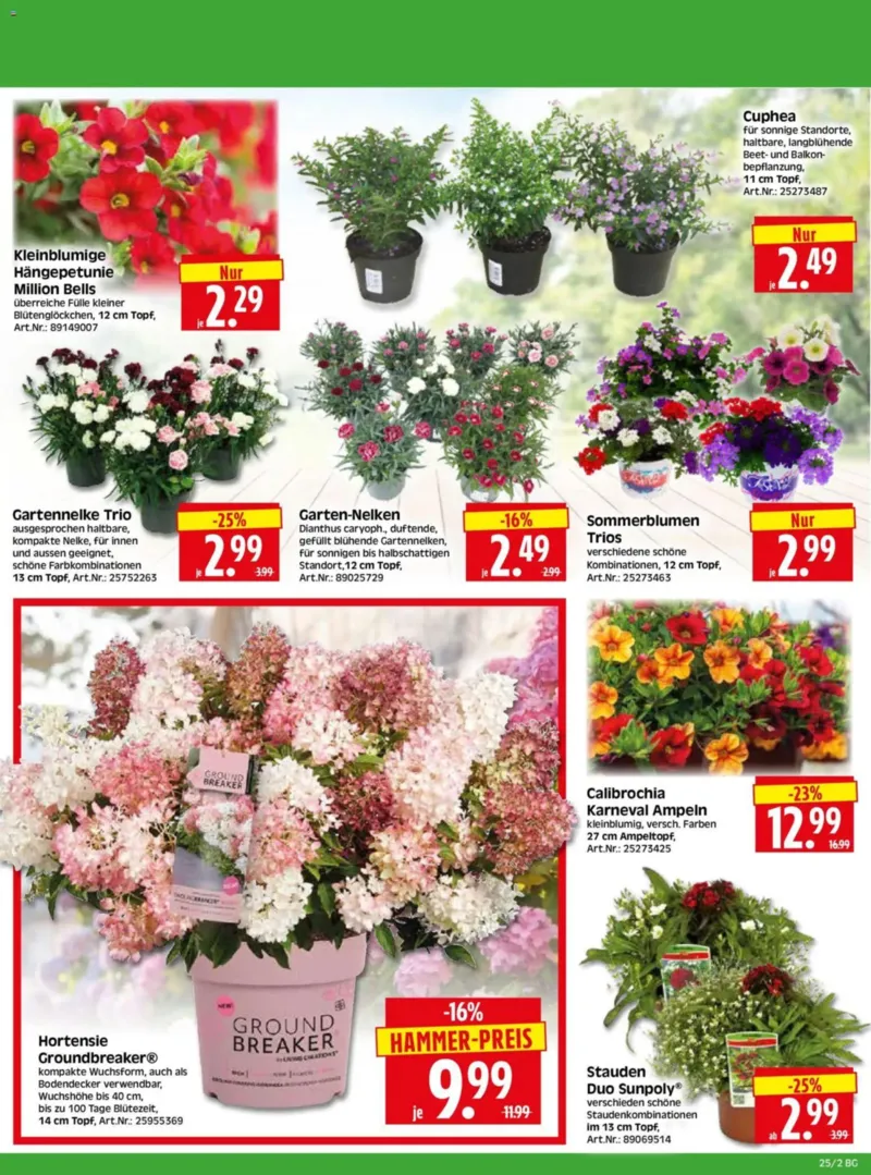 Herkules Baumarkt Prospekt vom 15.06.2026, Seite 2