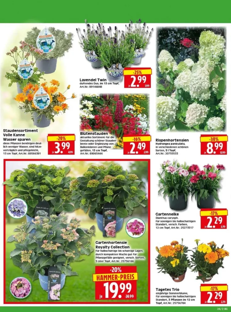 Herkules Baumarkt Prospekt vom 22.06.2026, Seite 2