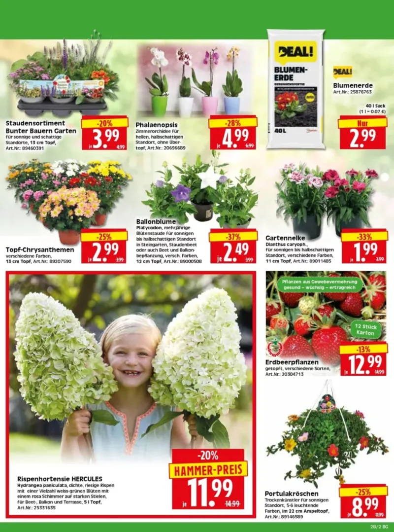 Herkules Baumarkt Prospekt vom 06.07.2026, Seite 2
