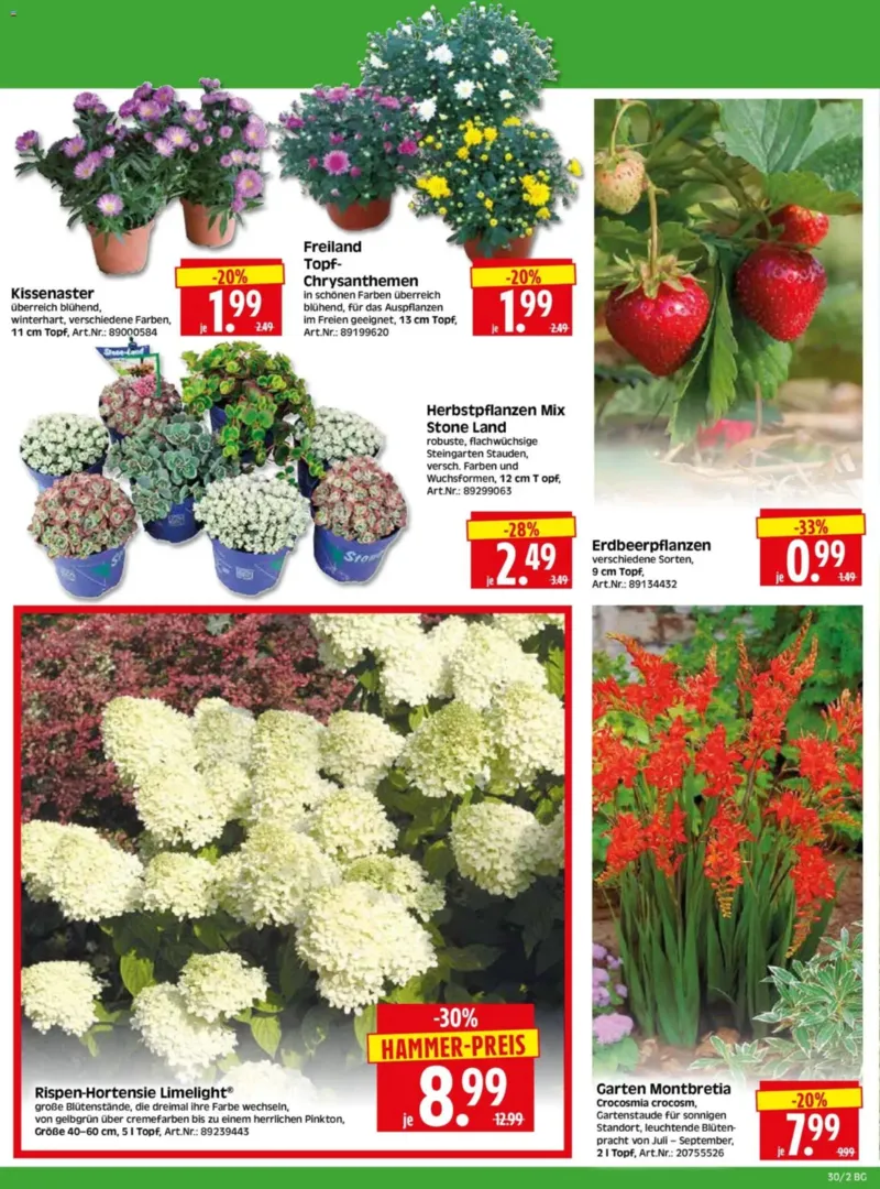Herkules Baumarkt Prospekt vom 20.07.2026, Seite 2