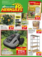Herkules Baumarkt Prospekt vom 20.07.2026