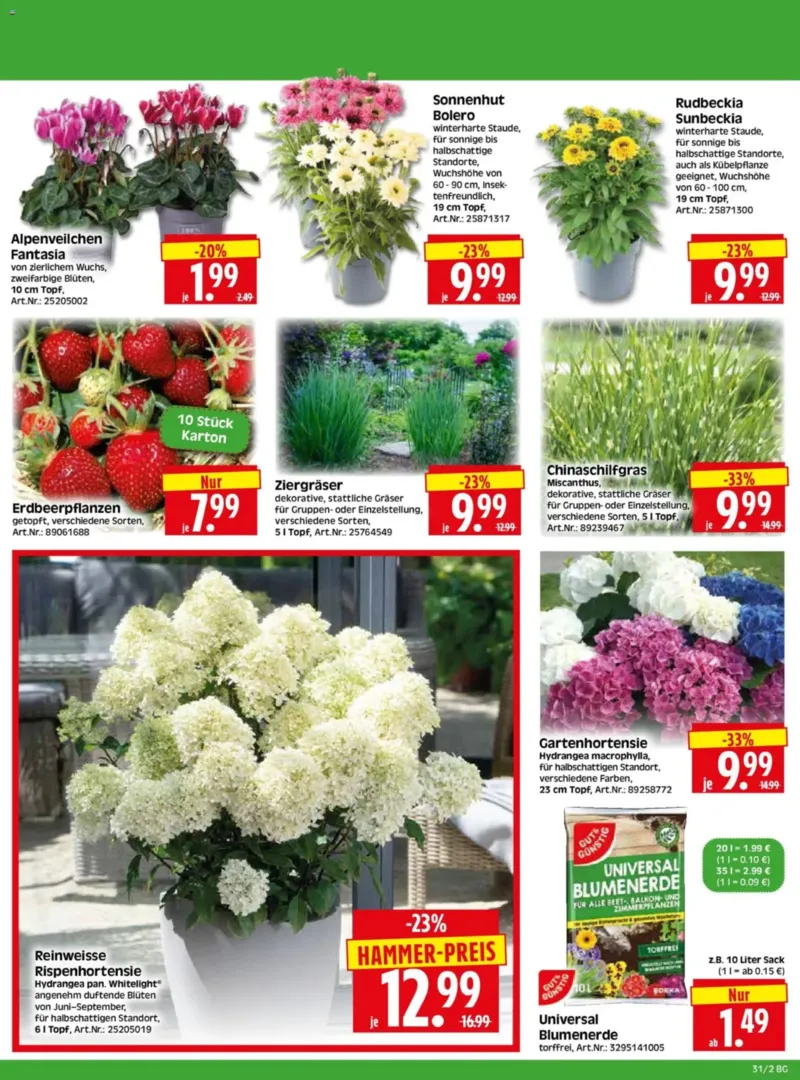Herkules Baumarkt Prospekt vom 27.07.2026, Seite 2