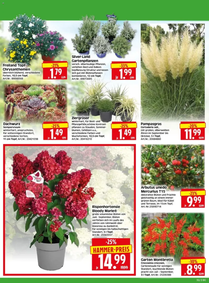Herkules Baumarkt Prospekt vom 03.08.2026, Seite 2