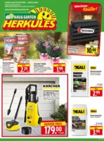 Herkules Baumarkt Prospekt vom 03.08.2026