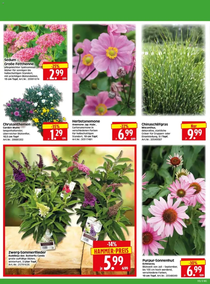 Herkules Baumarkt Prospekt vom 10.08.2026, Seite 2