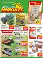 Herkules Baumarkt Prospekt nächster Woche