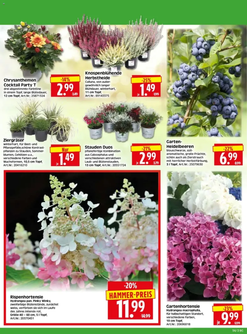 Herkules Baumarkt Prospekt vom 17.08.2026, Seite 2