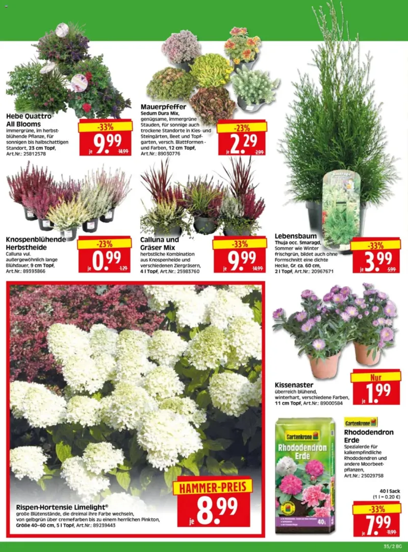 Herkules Baumarkt Prospekt vom 24.08.2026, Seite 2