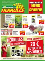 Herkules Baumarkt Prospekt vom 24.08.2026