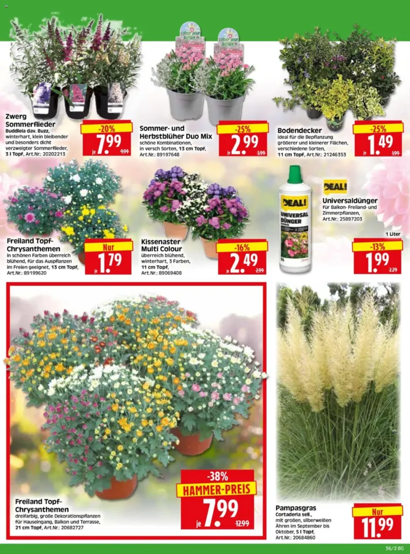 Herkules Baumarkt Prospekt vom 31.08.2026, Seite 2