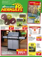 Herkules Baumarkt Prospekt vom 31.08.2026