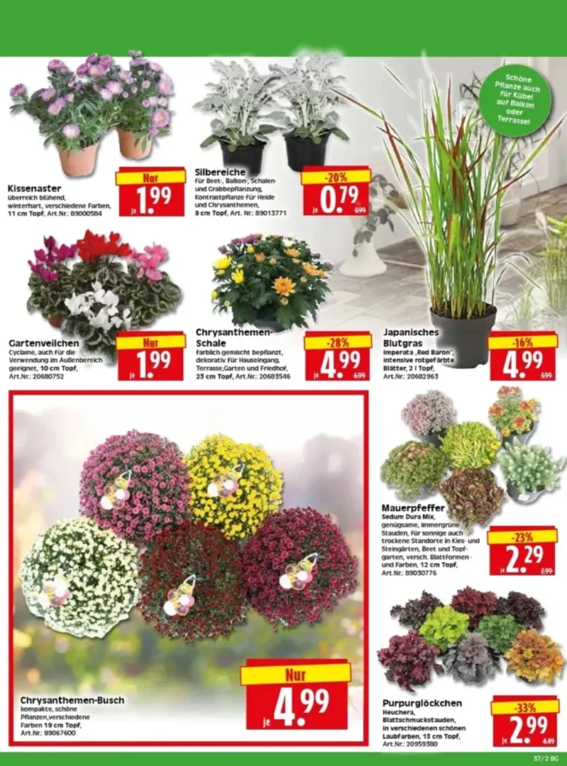 Herkules Baumarkt Prospekt vom 07.09.2026, Seite 2