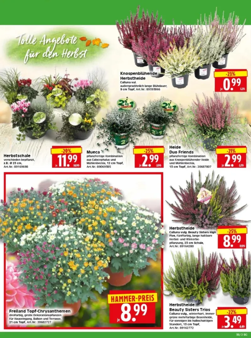 Herkules Baumarkt Prospekt vom 14.09.2026, Seite 2