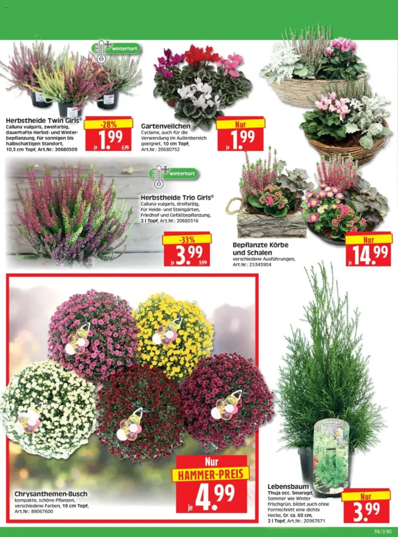 Herkules Baumarkt Prospekt vom 21.09.2026, Seite 2