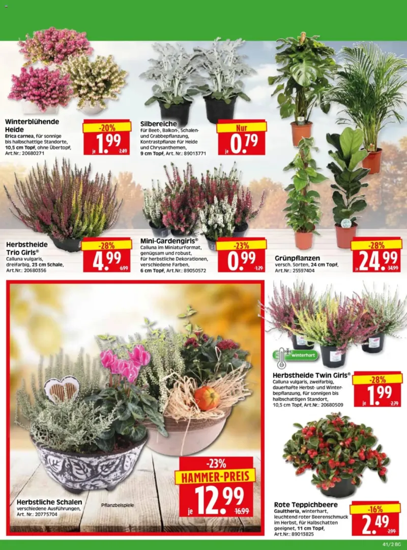 Herkules Baumarkt Prospekt vom 05.10.2026, Seite 2