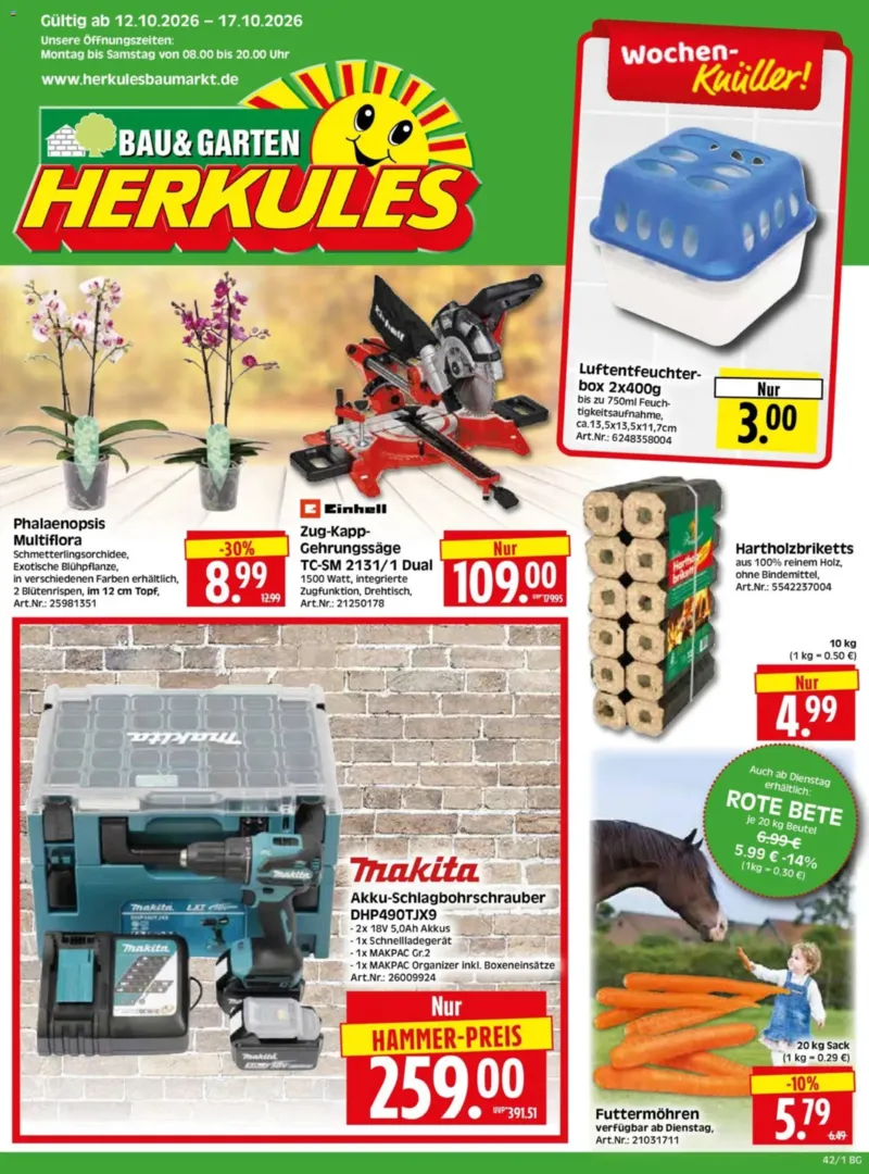 Herkules Baumarkt Prospekt vom 12.10.2026, Seite 1