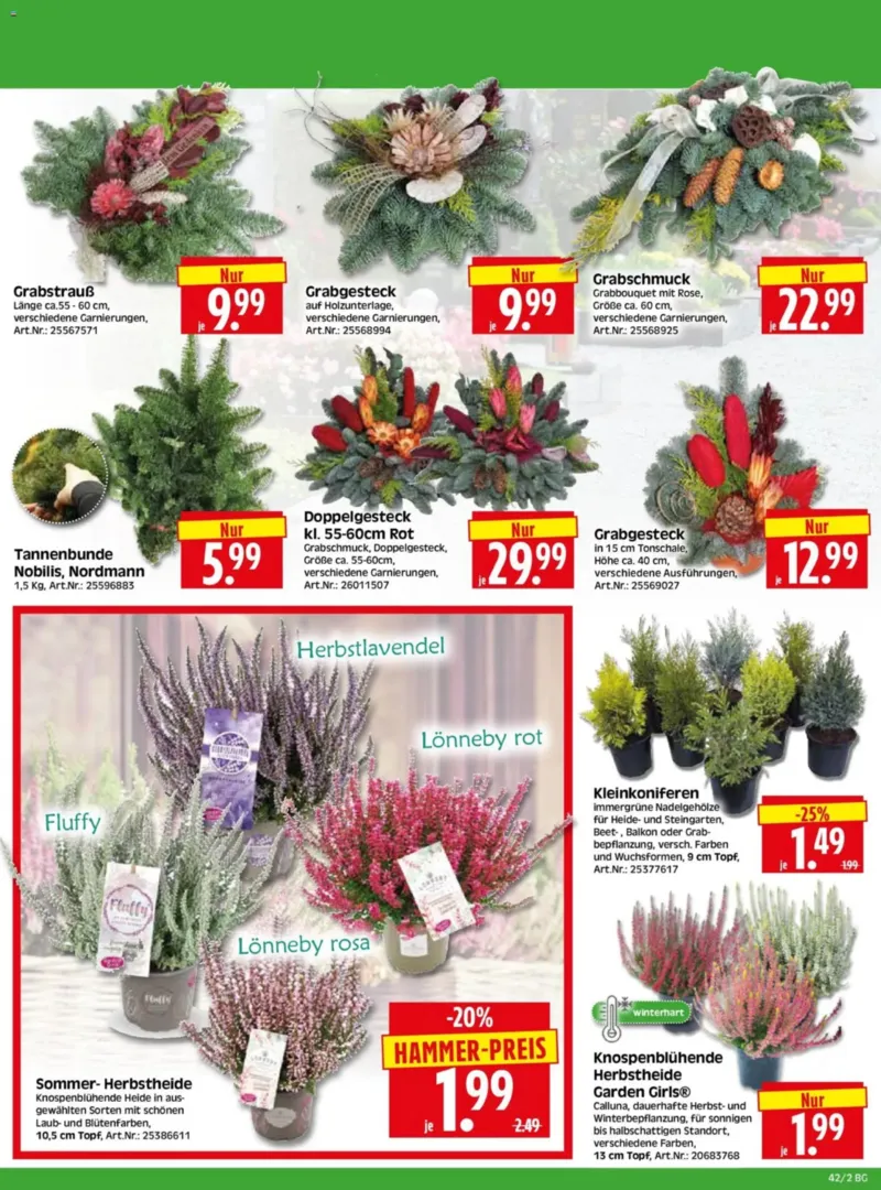 Herkules Baumarkt Prospekt vom 12.10.2026, Seite 2