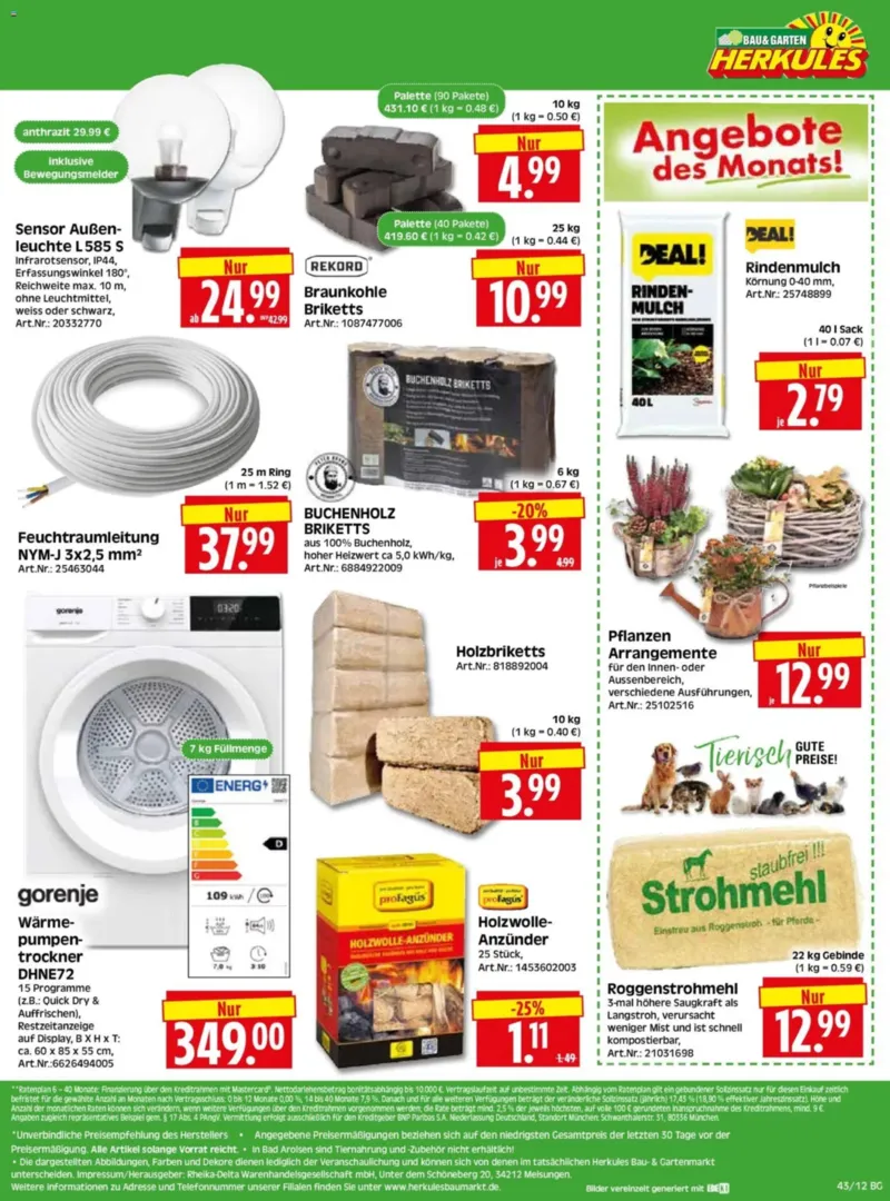 Herkules Baumarkt Prospekt vom 19.10.2026, Seite 12