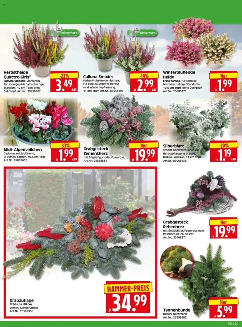 Herkules Baumarkt Prospekt vom 19.10.2026, Seite 2