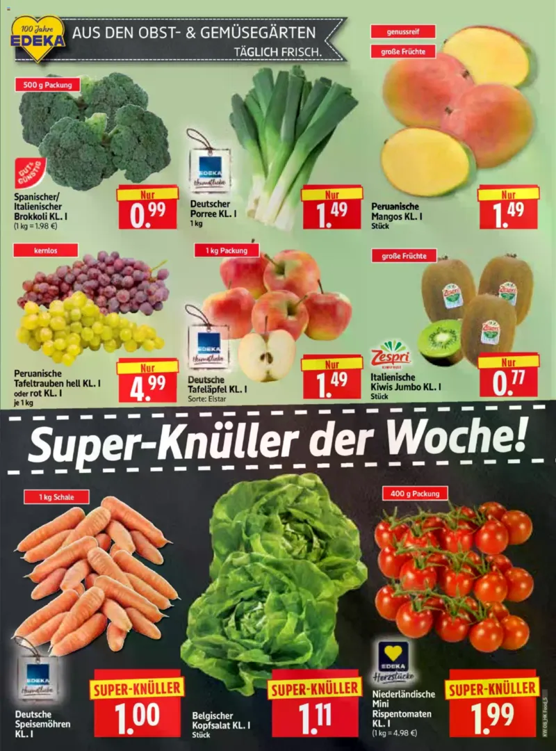 Herkules Prospekt vom 16.02.2026, Seite 5