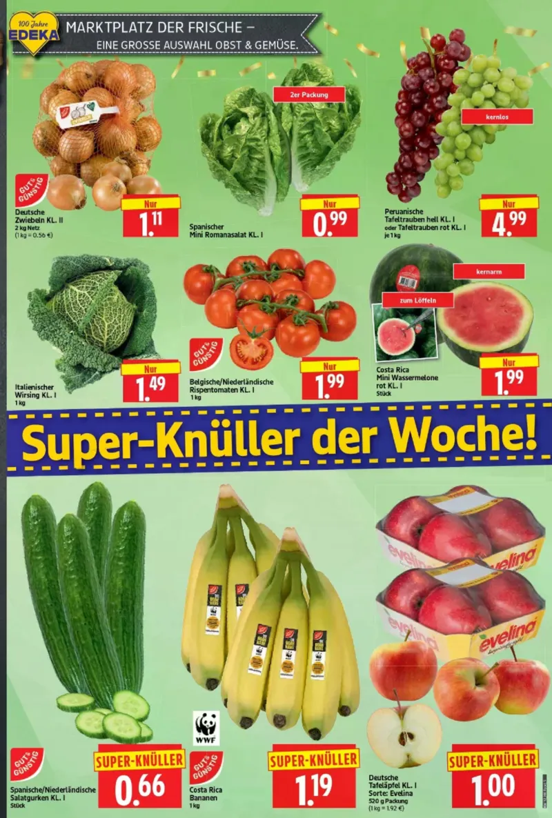 Herkules Prospekt vom 16.03.2026, Seite 5